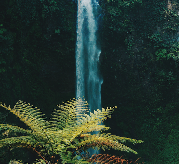 Picture of waterfalls and rainforest.